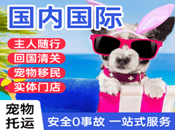 禄口航空运输国际宠物托运 【国